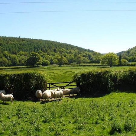 Lew Quarry Cottage Lewdown Kültér fotó