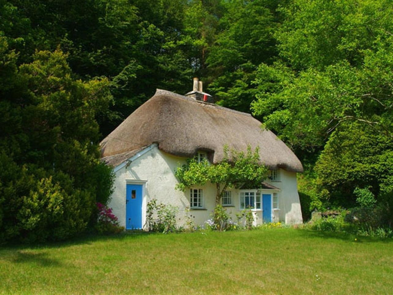 Lew Quarry Cottage Lewdown Kültér fotó